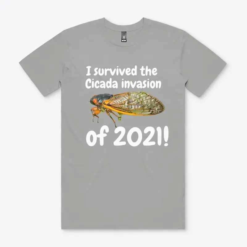 2021 Cicada Invasion