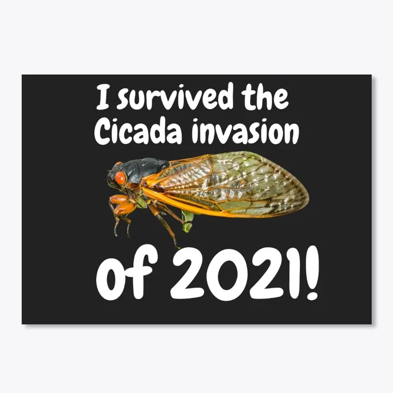 2021 Cicada Invasion